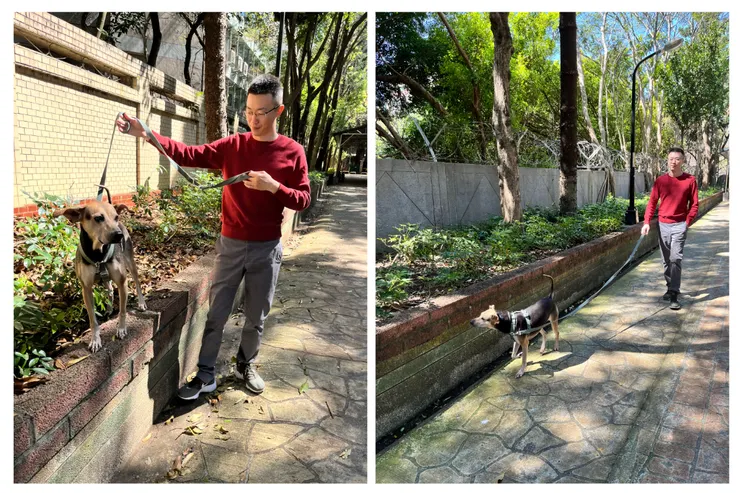 家兄真的是遛狗良伴