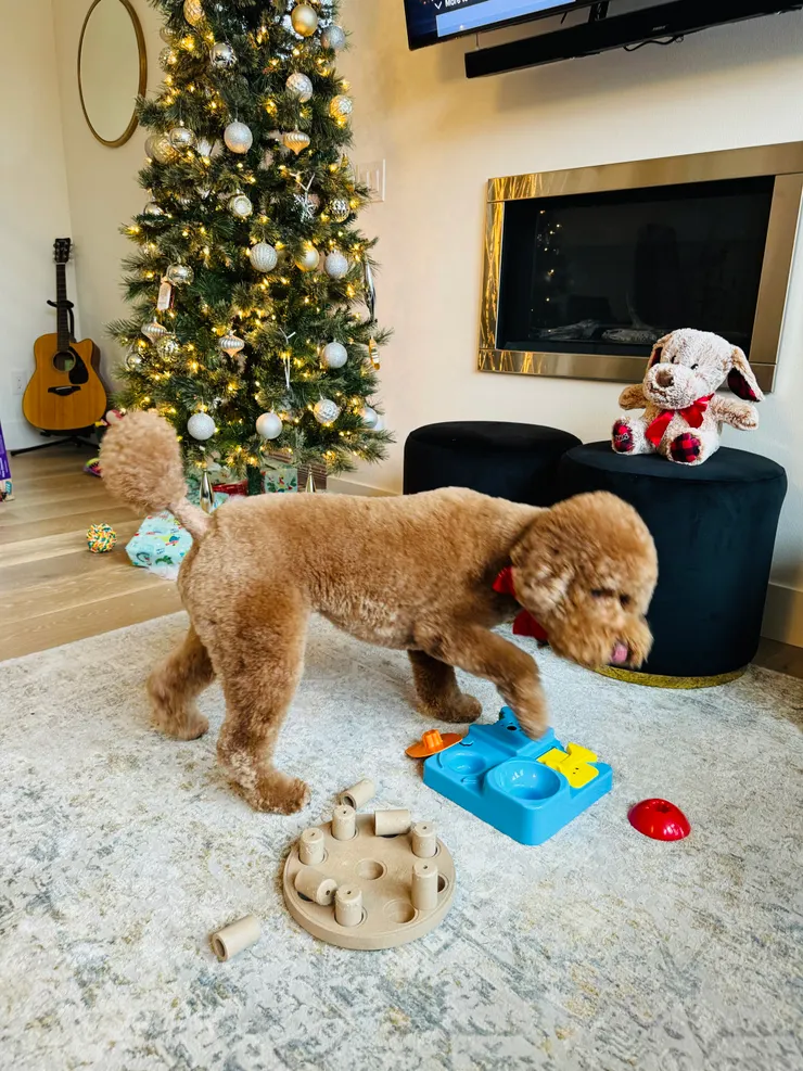 狗狗的聖誕禮物:拼圖