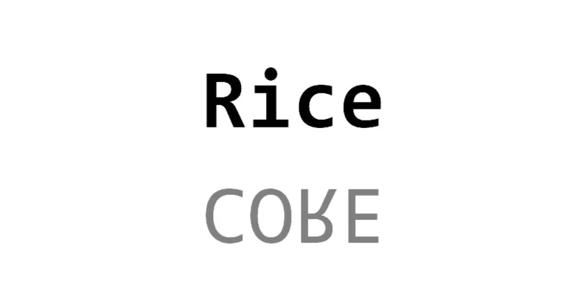 Rice的沙龍
