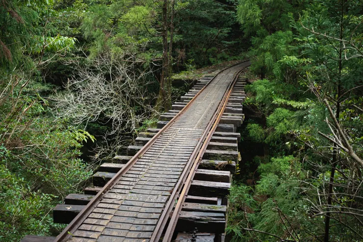 屋久島的安房森林鐵路是通往日本最大最老神木:繩文杉的必經之路,也是最受歡迎的特色路線之一。 每年吸引無數國際旅客拜訪的步道,長得和眠月線一模一樣。我真心覺得台灣在山岳資源方面,只要好好經營,是可以在世界上抬頭挺胸的存在。