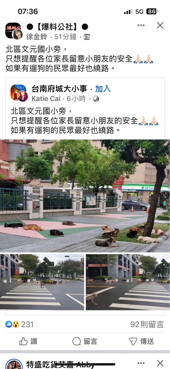 （圖：台南府城大小事FB）