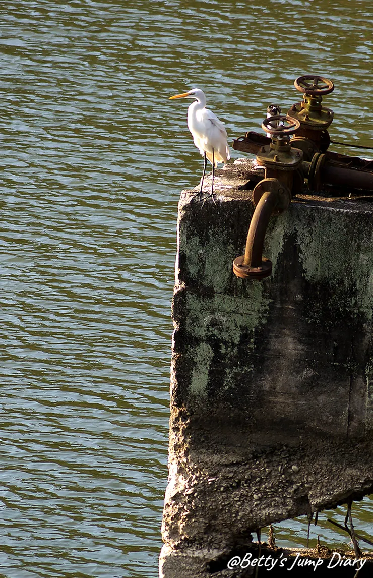 ▲峨眉湖吊橋風景區/圖片來源:Betty's Jump Diary