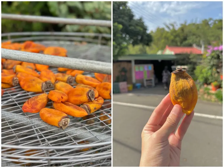 比起圓圓的石柿，我更愛尖尖的筆柿，吃起來口感更Q