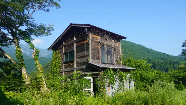 似乎也是暮蟬悲鳴時的一個景點