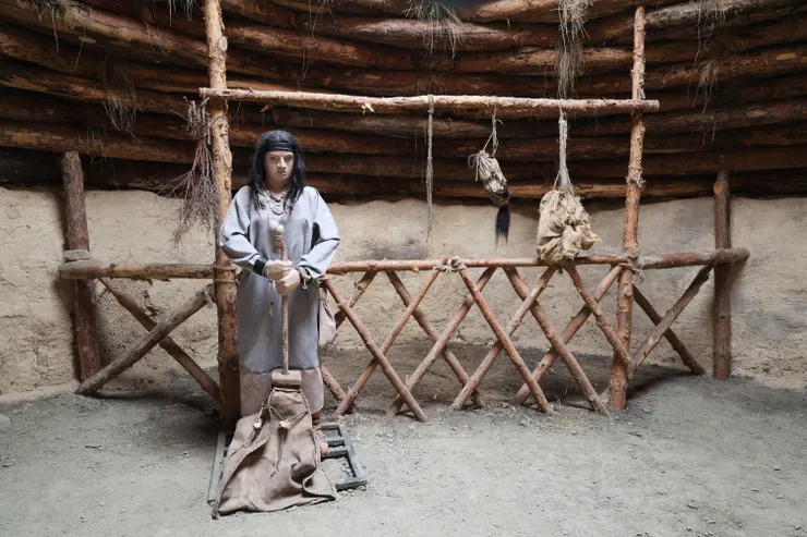 在馬舍飼養母馬、擠奶,並製作馬奶酒。