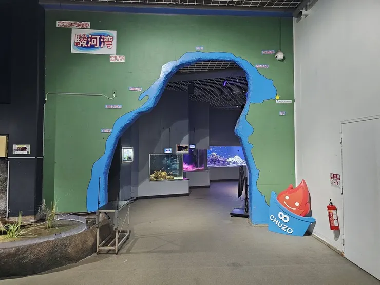 沼津眾水族館的傳統主打: 駿河灣，是日本近海數一數二深的海域