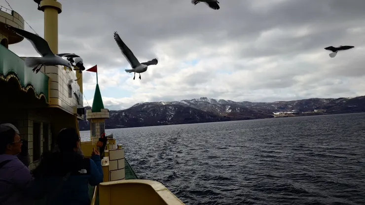 是一群競爭心很重的海貓
