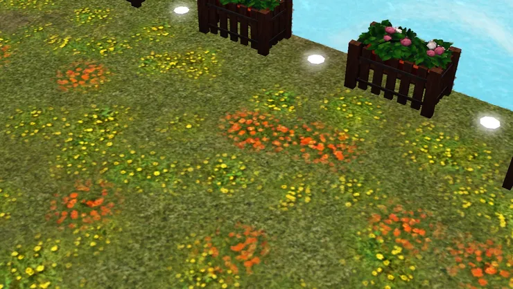 小花沒有鋪到密麻，仍能看草地可愛的青綠。