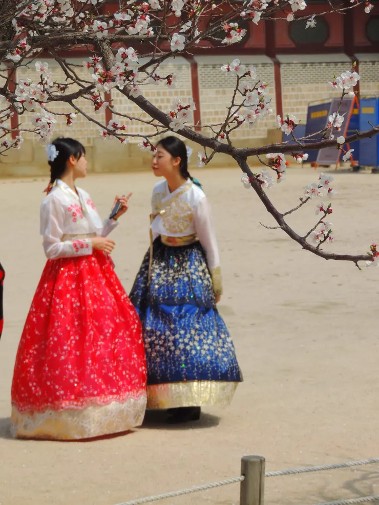 我一心只想，釣起滿河春色予妳