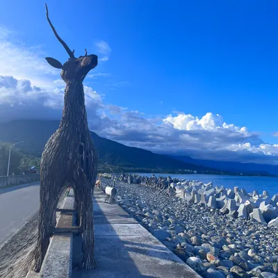 雷雷的生活紀錄