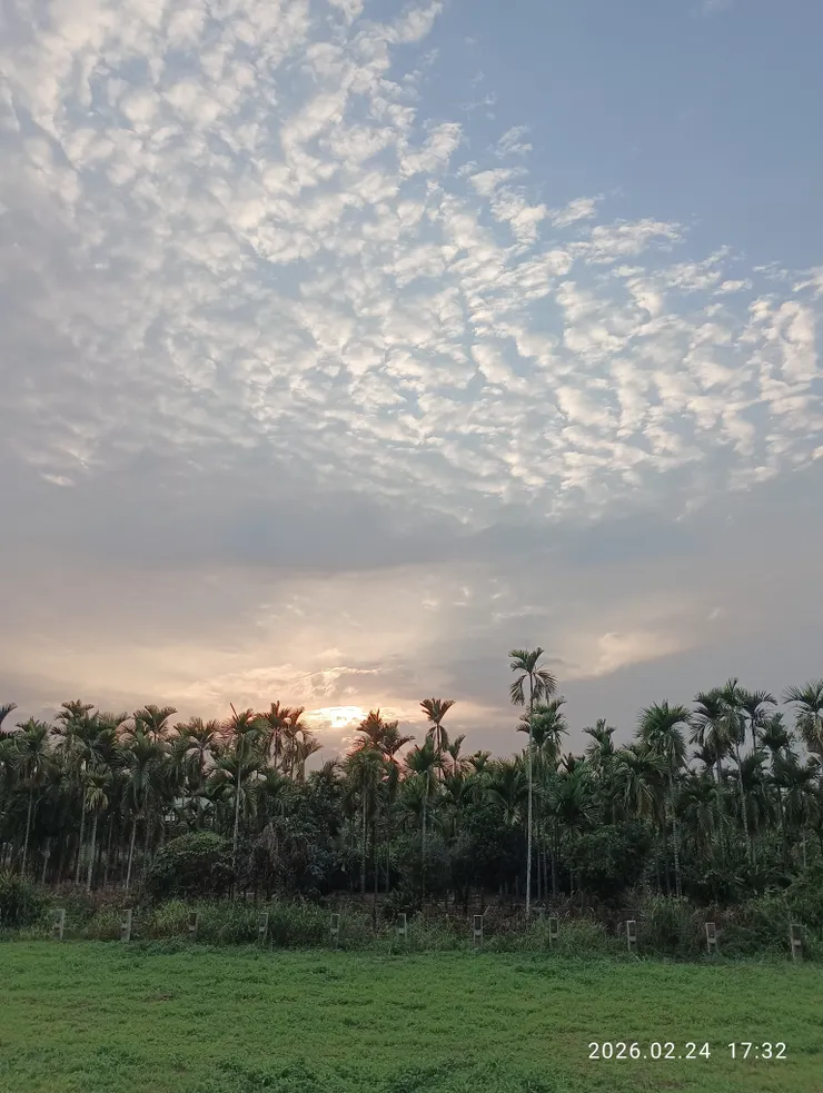 晚霞迎，皆自拍攝