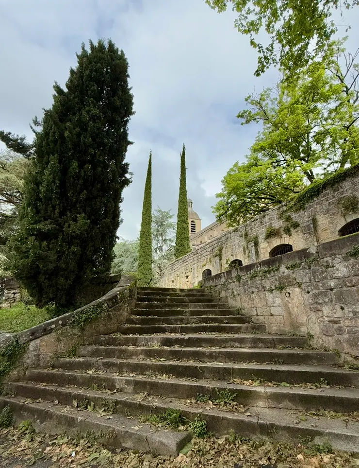 這是我最喜歡的秘境