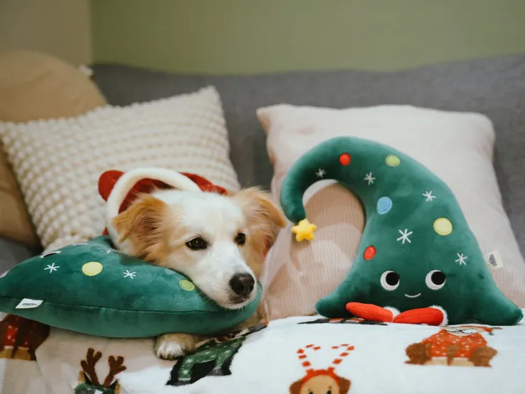 圖說：倍力推出超萌的「精靈樹貪睡枕」，獨特設計模擬主人環抱動作，有效舒緩不安，隨時隨地讓毛孩「討抱抱」。（資料來源：倍力寵物健康食品）