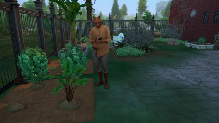 你到底是怎麼直接進來的...