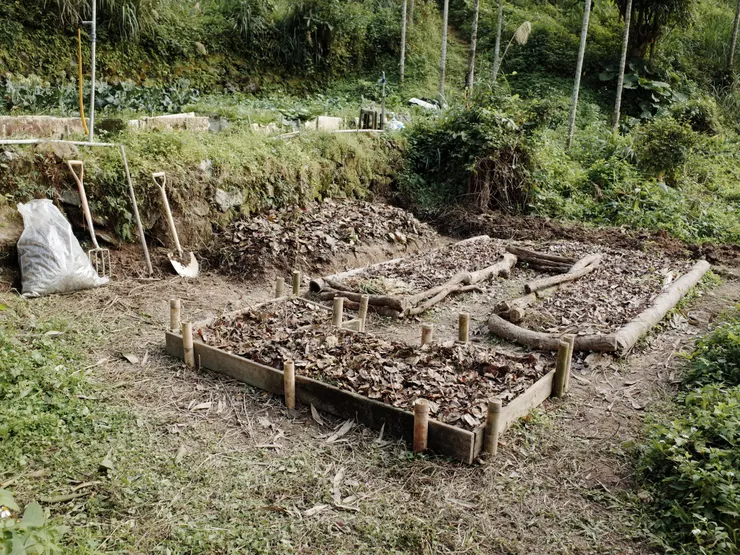 後來又用菜友不要的木板與竹子，圍成另一個小菜床
