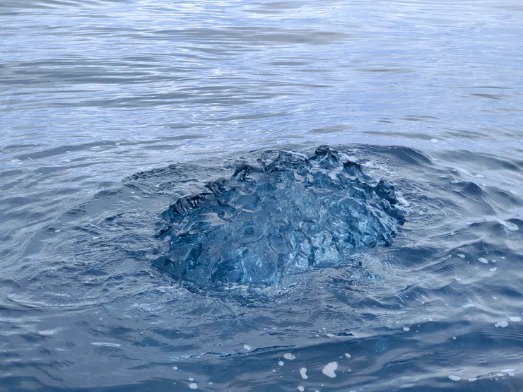 透明、堅硬又多稜角的黑冰是最老的冰。