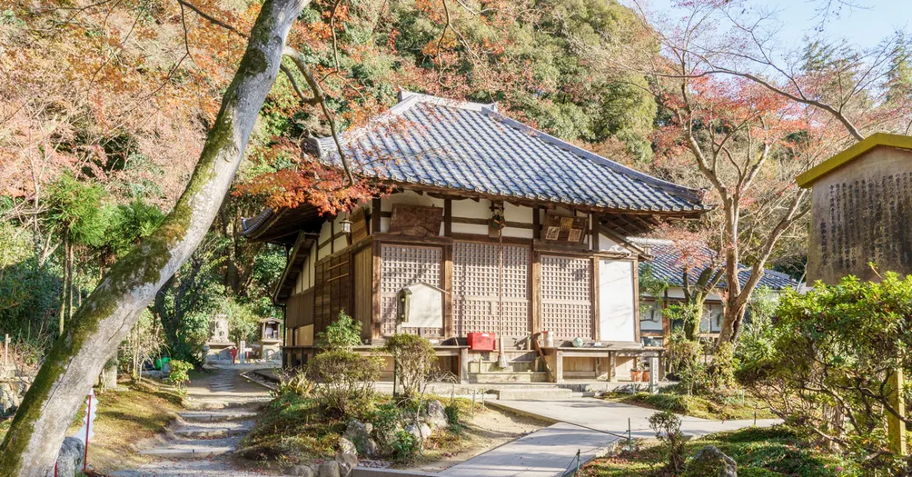 魔王貓的貓抓板