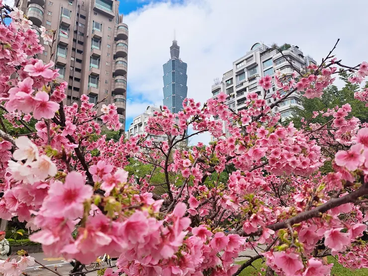 象山站(霉女拍攝)