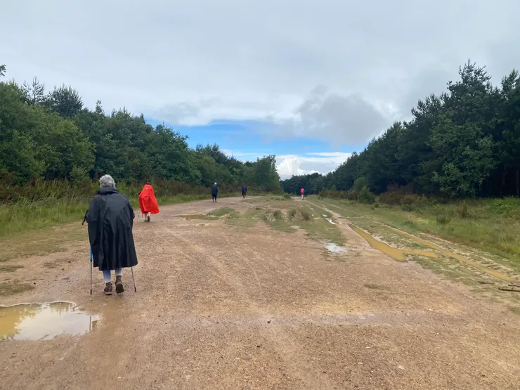 今天爬的小山，路上都是泥濘，大家都在閃躲，很有趣。