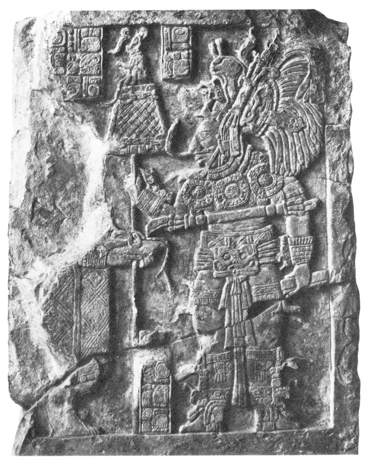 照片來自peabody博物館