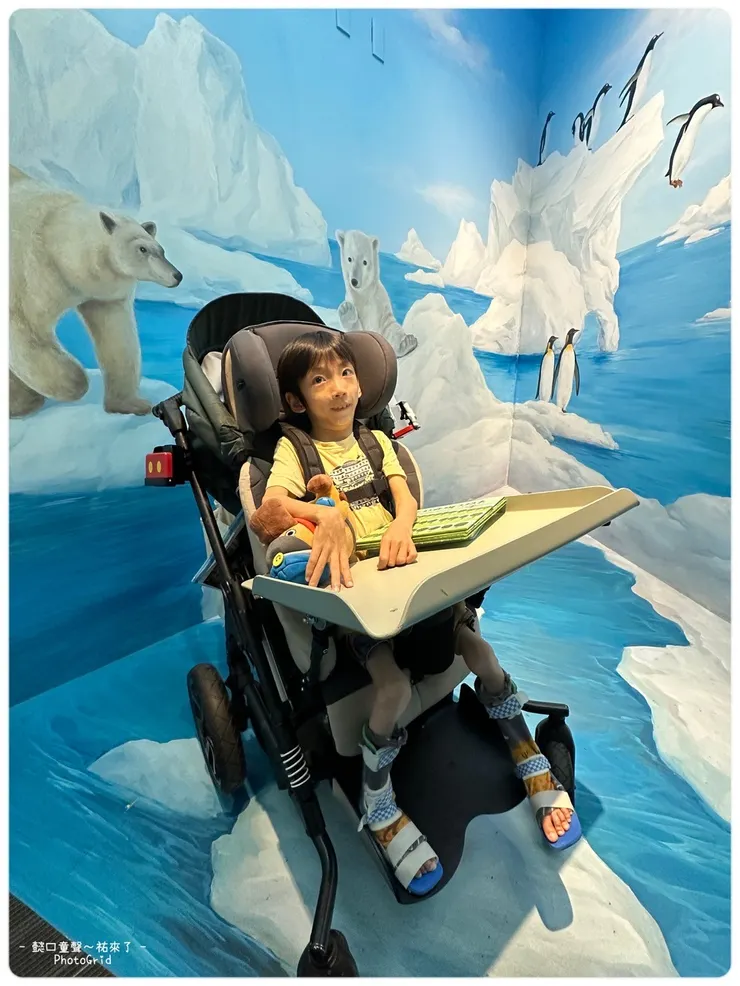 3D藝術彩繪打卡牆面(南極企鵝/北極熊)。