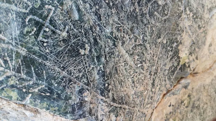 Lakh Mazar，伊朗的史前銘文