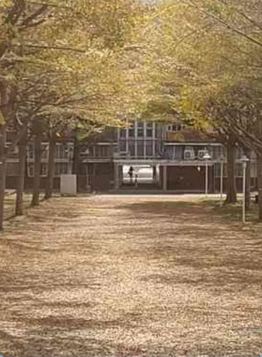 https://www.cjshs.tn.edu.tw/