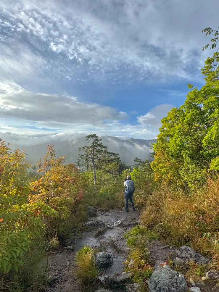 正芬站的位置正是2020年 兒子剛升國一時肚子不舒服，我們在這個平台一起休息。前方的南湖大山正在雲海裡