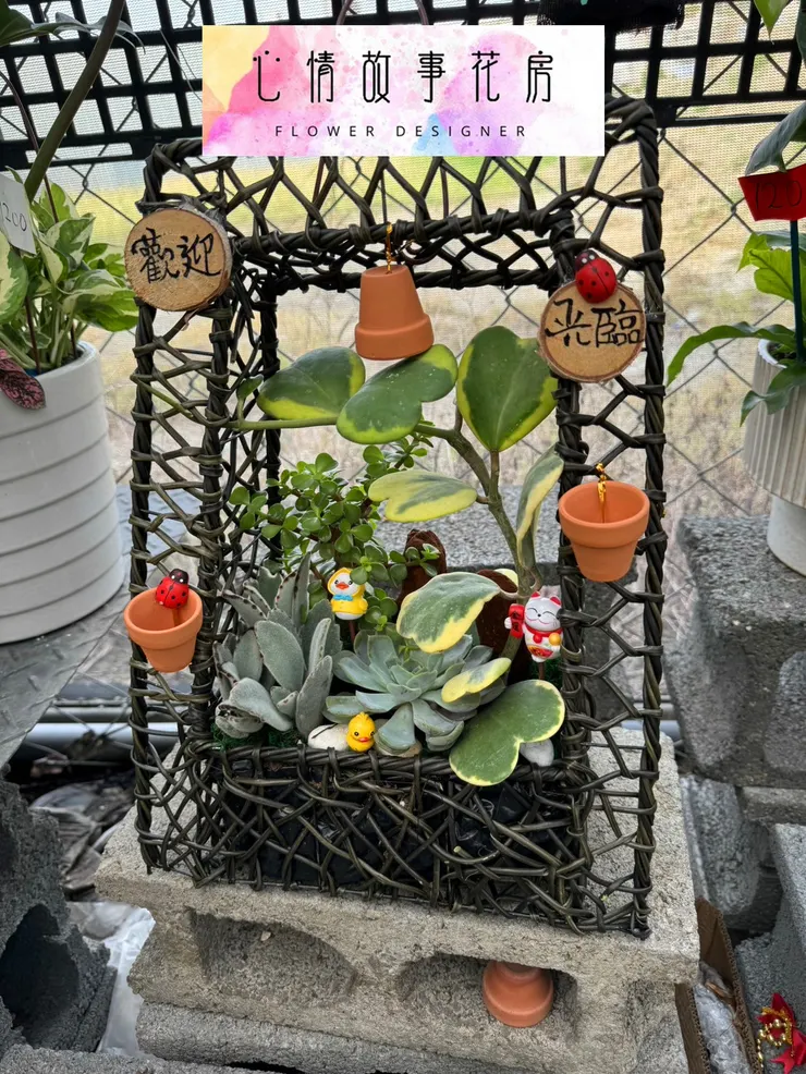 台南在地三十年｜心情故事花房提供八大多樣化花卉商品，從高雅蘭花到永生花，全方位滿足您的需求，品質保證、送達迅速