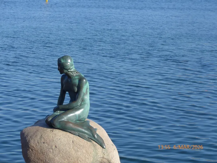 超難拍到沒有人的美人魚