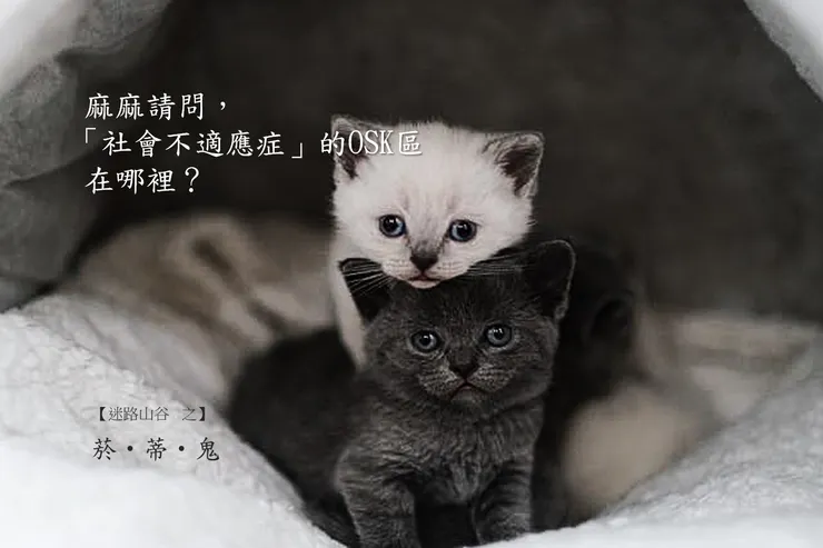 Image by Feyza Yıldırım from pexels