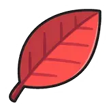 攜帶它的寶可夢將有1次機會，可以在1回合內就發動需要蓄力的招式。