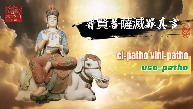 #普賢菩薩滅罪真言 #Samantabhadra #mantra #咒語 #sanskrit #普賢菩薩