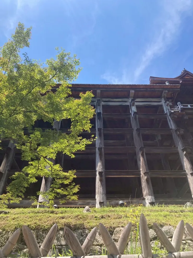 樓板下五層樓高的木結構