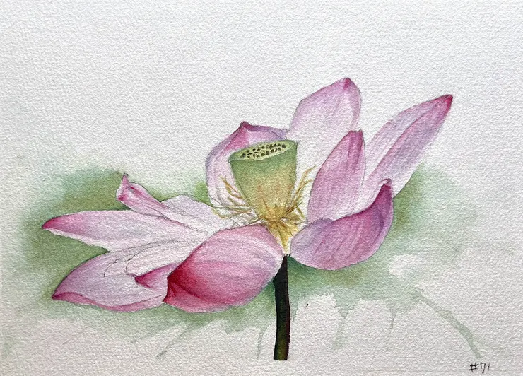 YH.CC@水彩練習W71, 26x18cm, AUG2024  (構圖參考網路攝影)