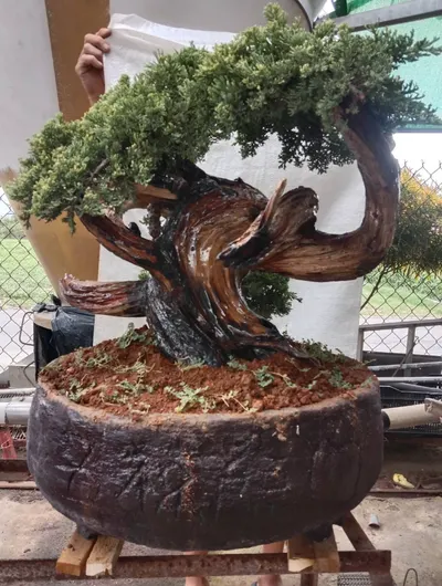 人生旅徒~傳記錄