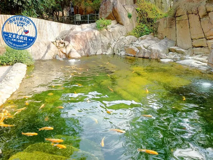 南投國姓新景點｜春水山林