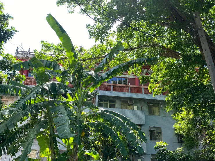 隱身於現代建築頂樓的宗祠——高佛福宗祠