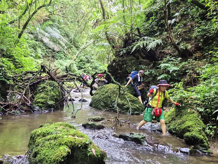 部分路段續要高繞通過，請注意登山條指引。