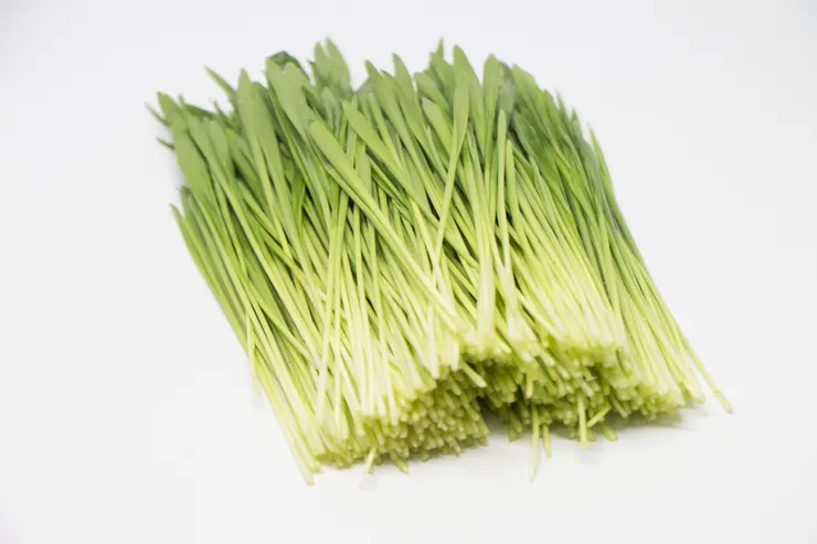 大麥若葉(圖源:Photo AC)