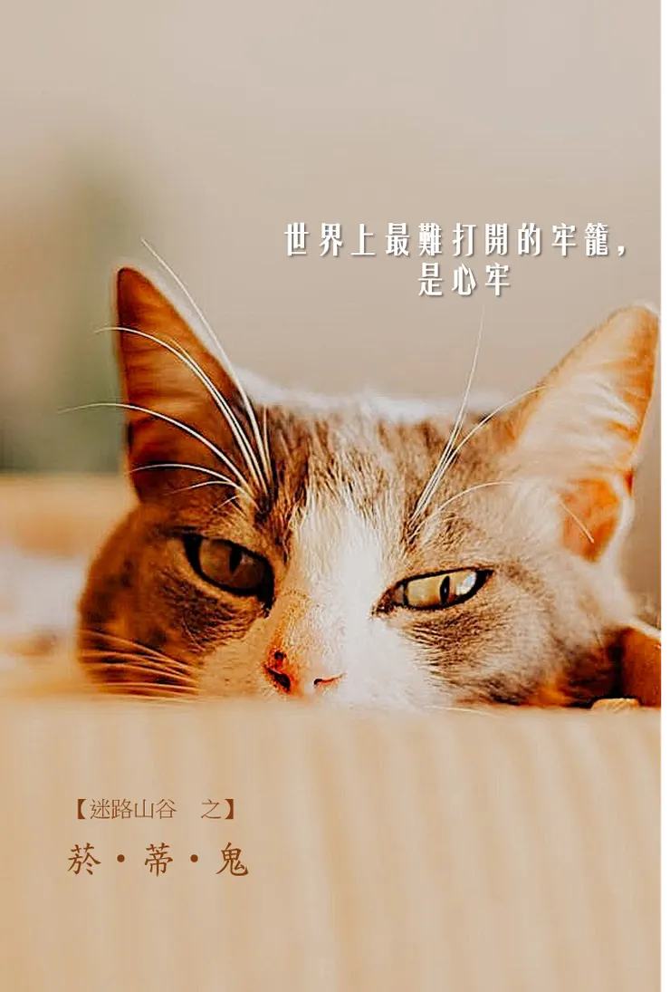 Image by juliane Monari from pexels