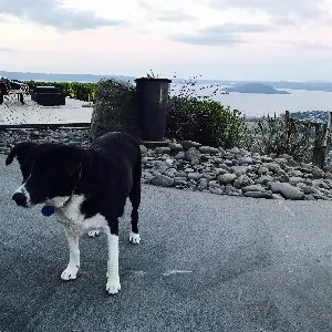 脫離啃老族的沙龍