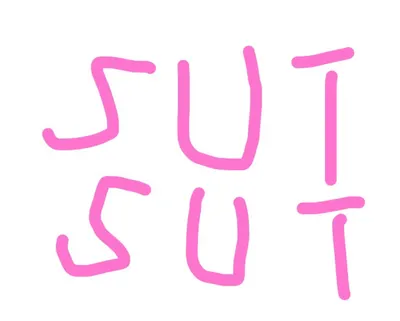 SUÍ SUÍ