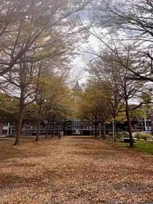 https://www.cjshs.tn.edu.tw/
