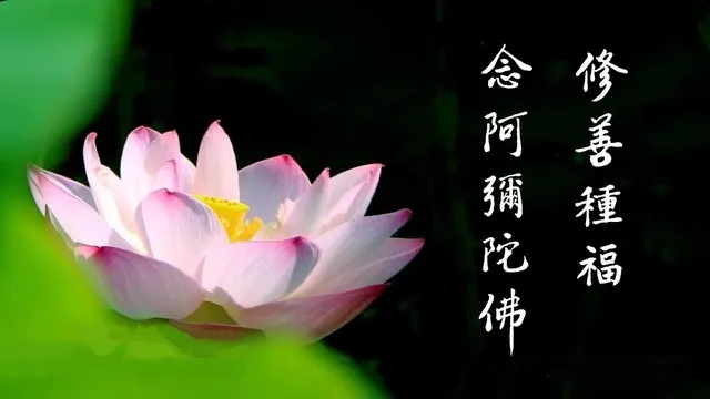 一向專念 阿彌陀佛 求生淨土