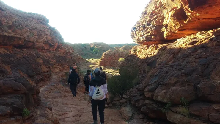 國王峽谷的路上