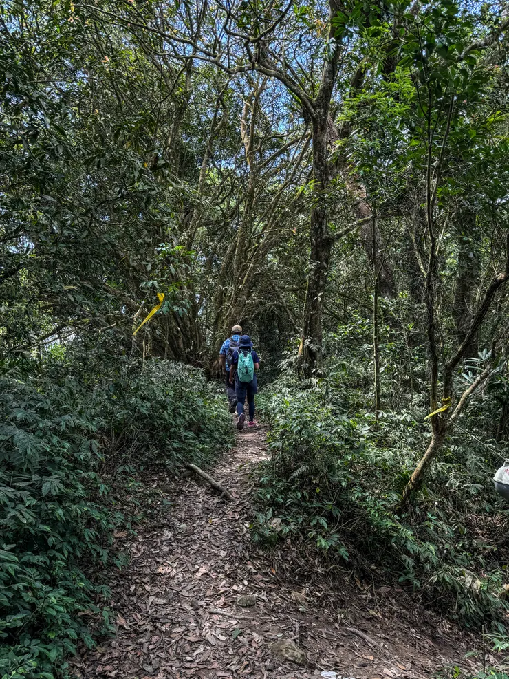 今天提早起登,想必可以早早下山回家啦~~開心!!