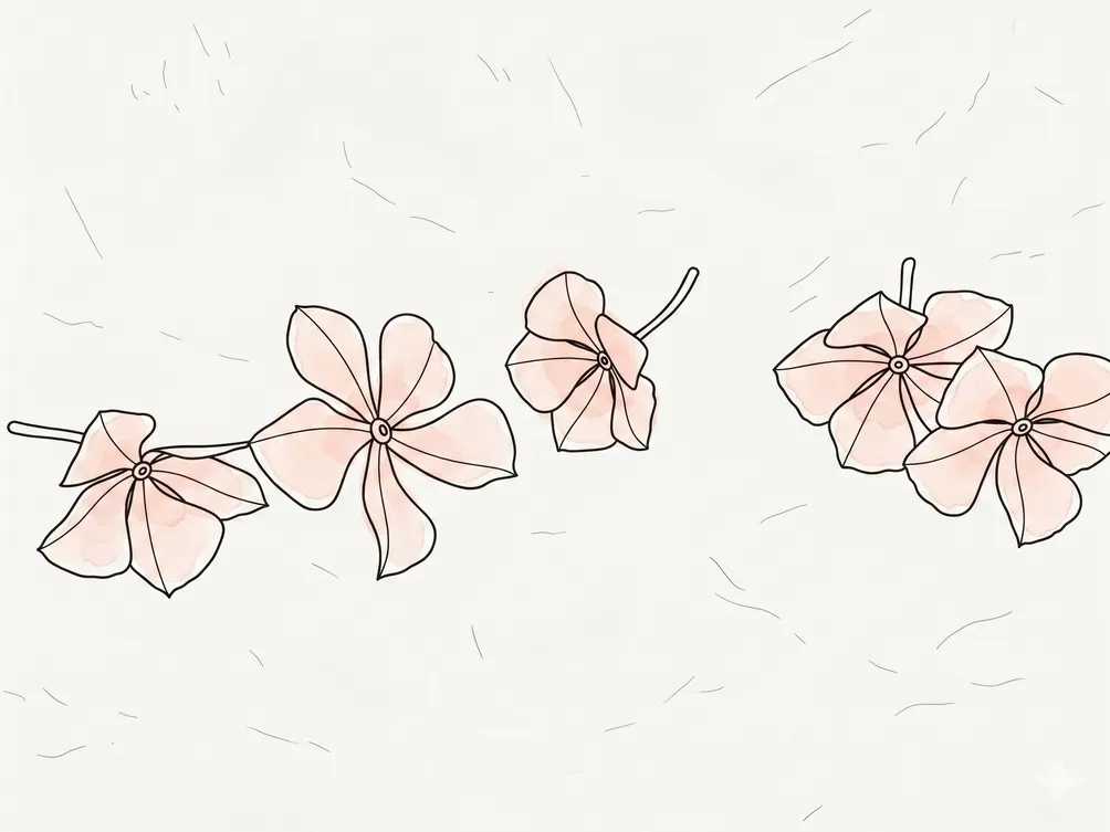 字間拾晴｜The Intervals Between