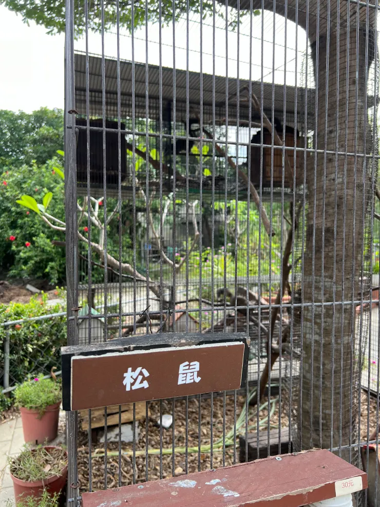 松鼠🐿️