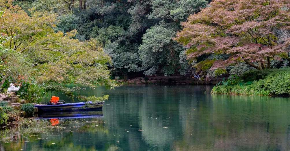 跟著兔子去旅行